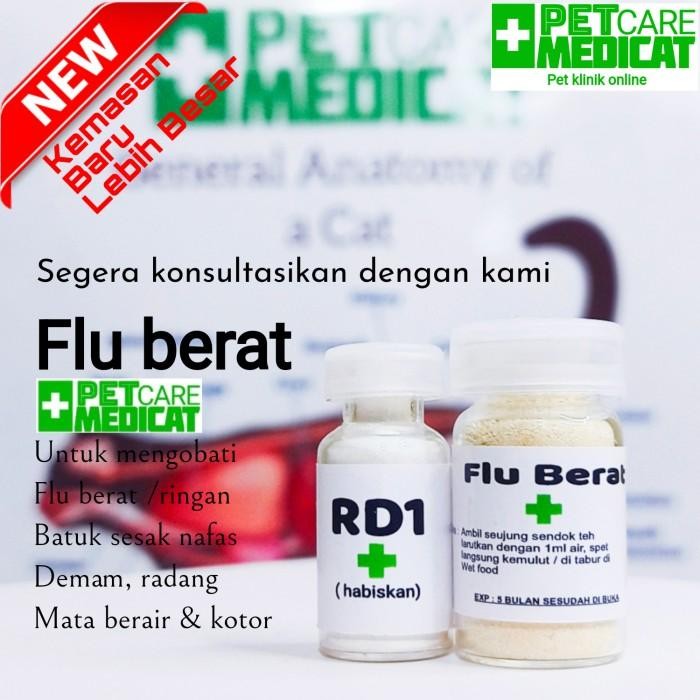 Obat Flu Kucing Ampuh Obat Flu Berat Kucing Ampuh