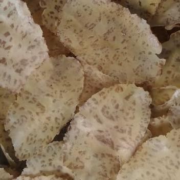 

Kerupuk Jengkol Mentah Dari Padang