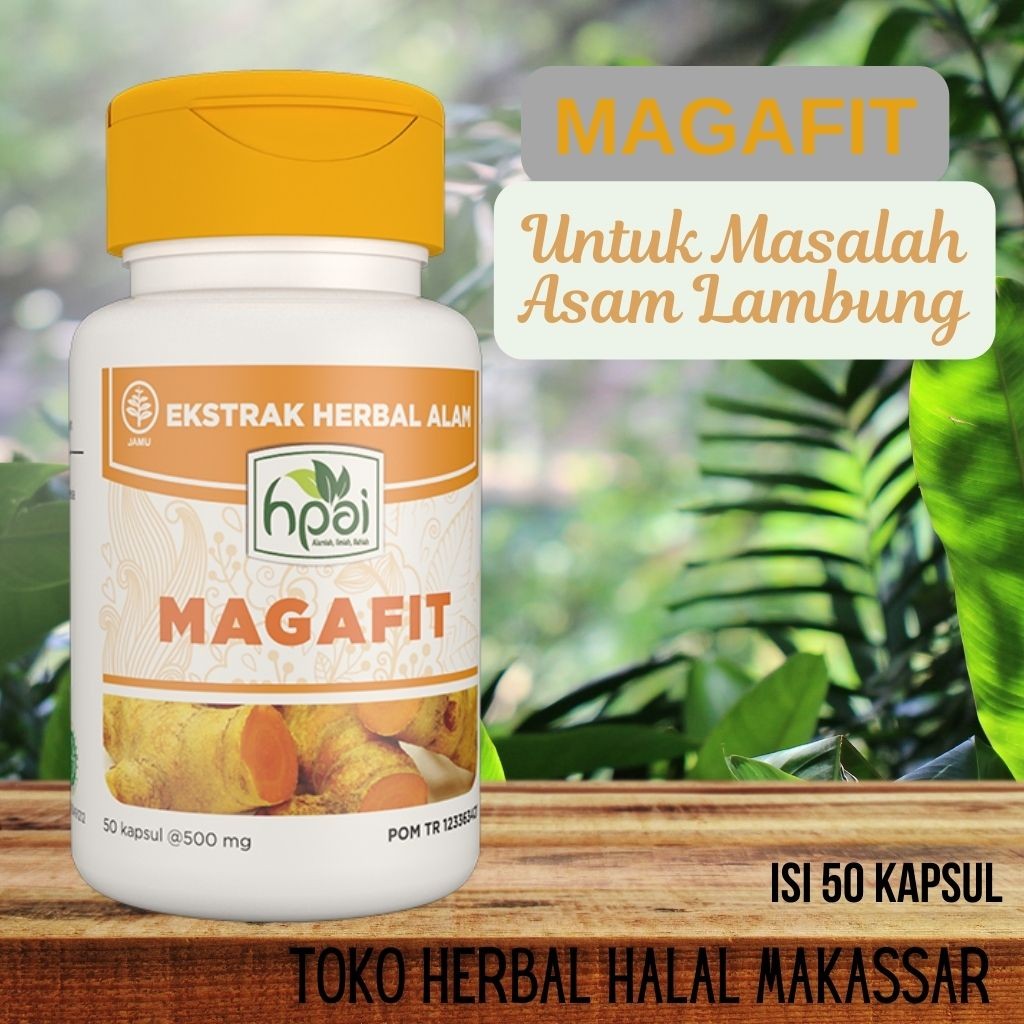 

Magafit HNI HPAI isi 50 kapsul Herbal untuk masalah asam lambung dan magh