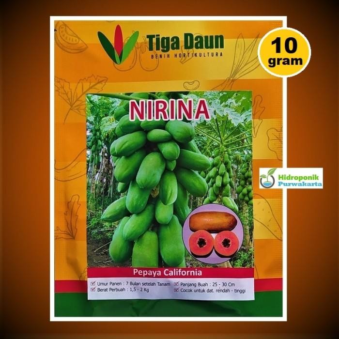 

PEPAYA CALIFORNIA NIRINA ISI 10 GRAM ORIGINAL PACKING CAP TIGA DAUN Kualitas Terbaik