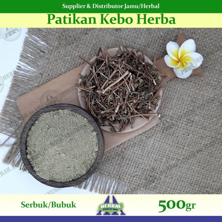 

Herba Patikan Kebo (Bubuk) 500Gr - 100% Murni #Herbal