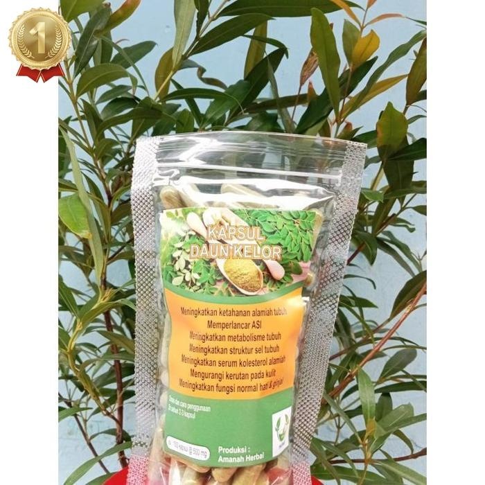 

Special Daun Kelor Isi 100 Daun Herbal Premium