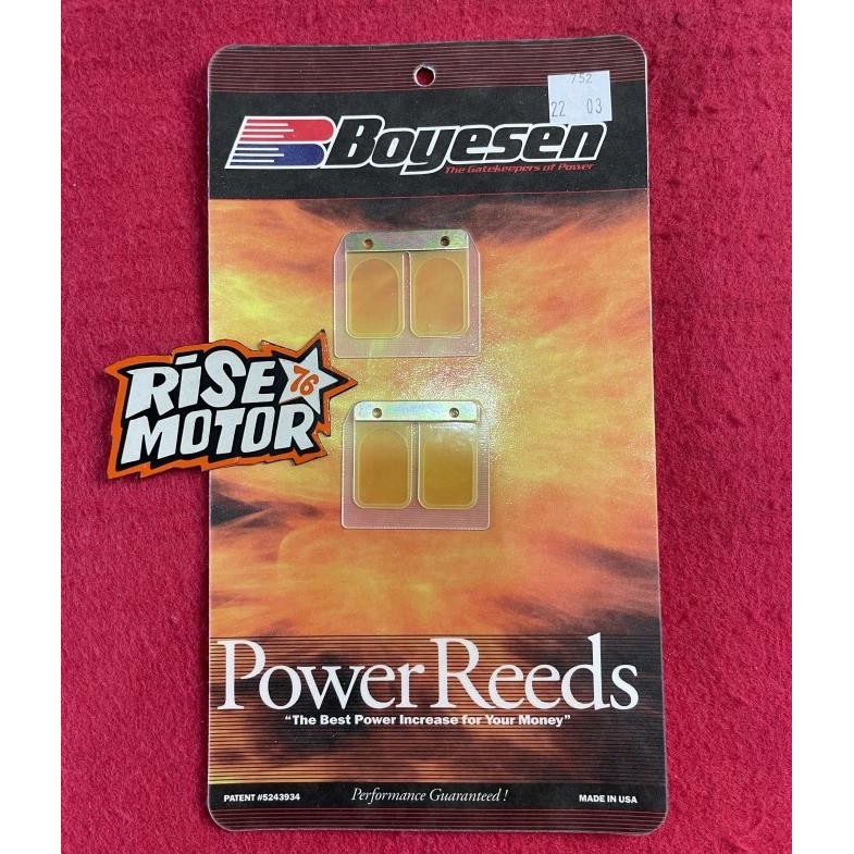 LIDAH VALVE MEMBRAN BOYESEN RXZ