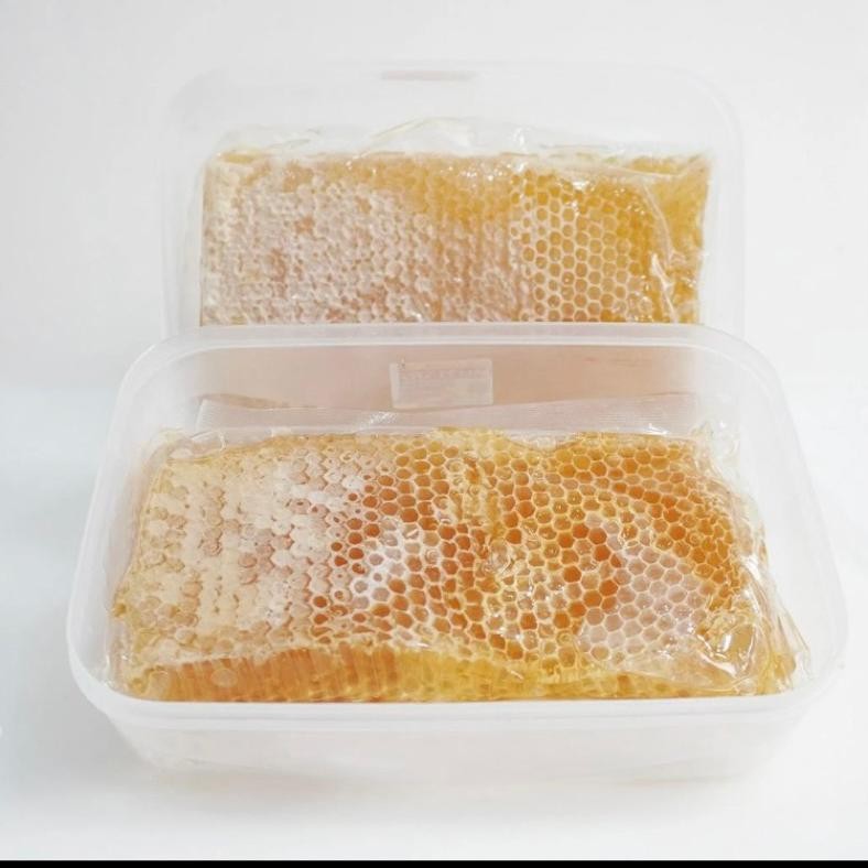 

Terpercaya Madu Sarang Melifera || Madu Sarang Safiya 100 Gr High Quality