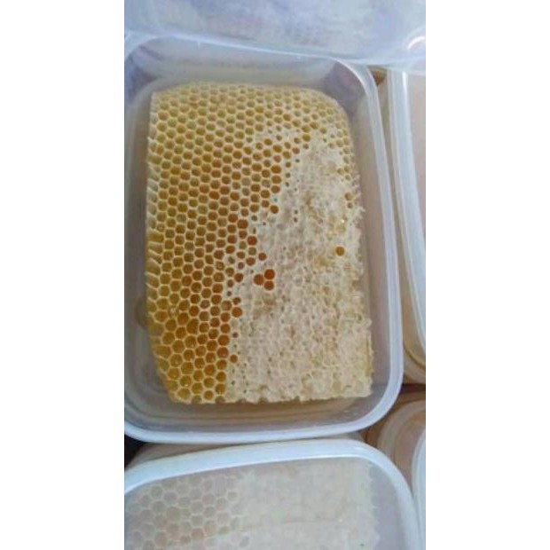 

10.10 Madu Sarang 500 Gr Medan Sarang Lebah Original Madu Sarang Premium