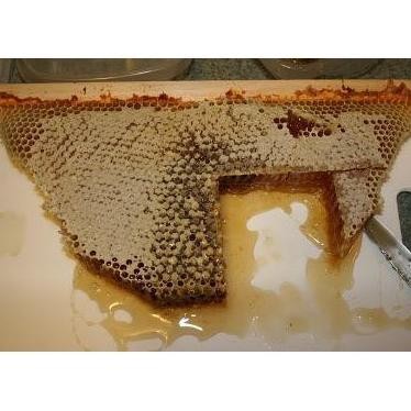 

Original Terlaris Madu Sarang Asli Murni Original Premium Mellifera Madu Hutan Asli 100% Raw Honey Natural Premium