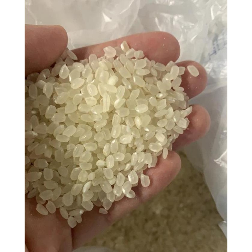 

beras jepang koshihikari / beras sushi koshihikari 5 kg MRS01