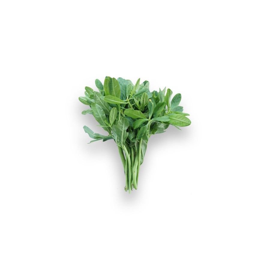 

Daun Gingseng Organik 200gr