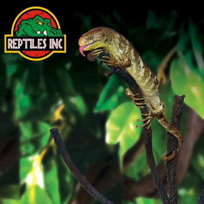 Exoterra Jungle Tree Ranting Pohon Dekor Kandang Hewan Reptil Iguana RMBT