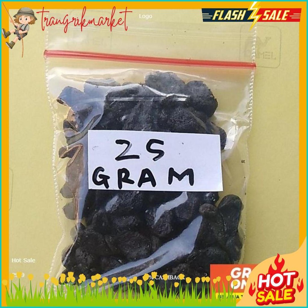 

Empot Ayam Hitam / Mpot Ayam Putih ( Per Gram Murah ) (Murmer)