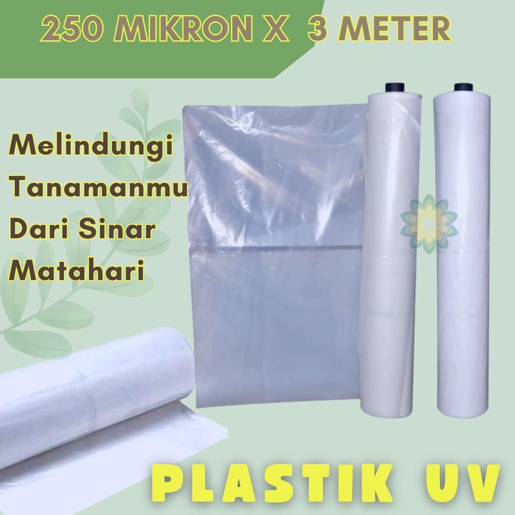 Big Cuci Plastik Uv 250 Micron Lebar 3 Meter 14% Plastik Uv Green House Re-65
