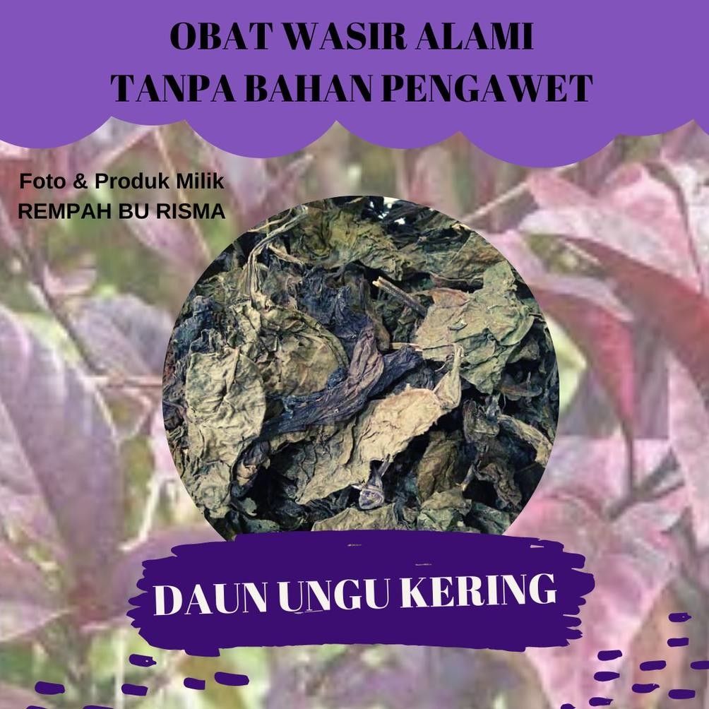 

Diskon Spesial Terpopuler Daun Ungu Kering Obat Wasir Ambein 50 Gram Rempah Bu Risma Daun Herbal Alami Good Quality