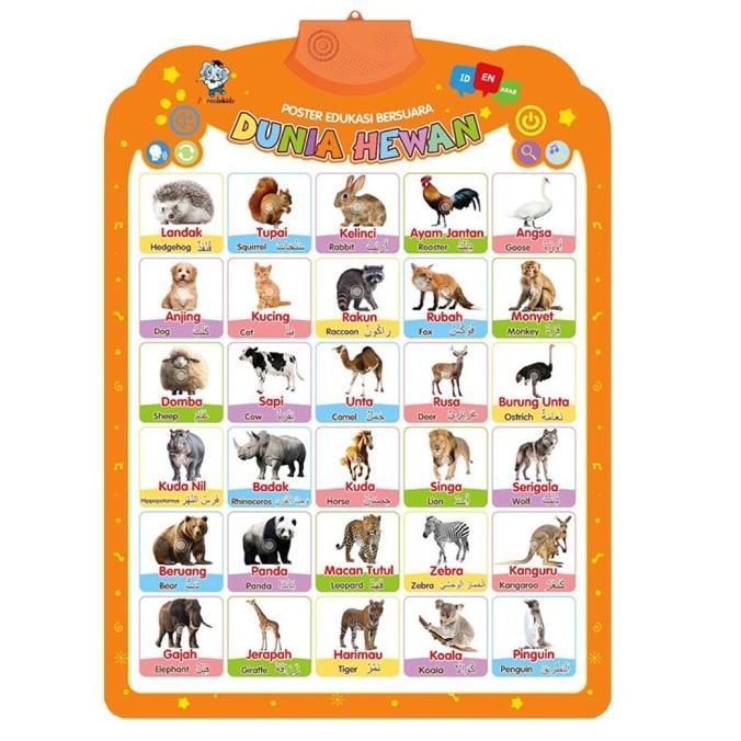 

Poster Edukasi Anak Belajar Abjad / Angka / Buah / Hewan Bersuara A068