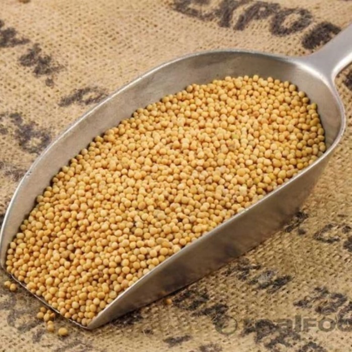 

Yellow Mustard Seed 1kg / Biji Sawi (Mustard) Kuning 1kg