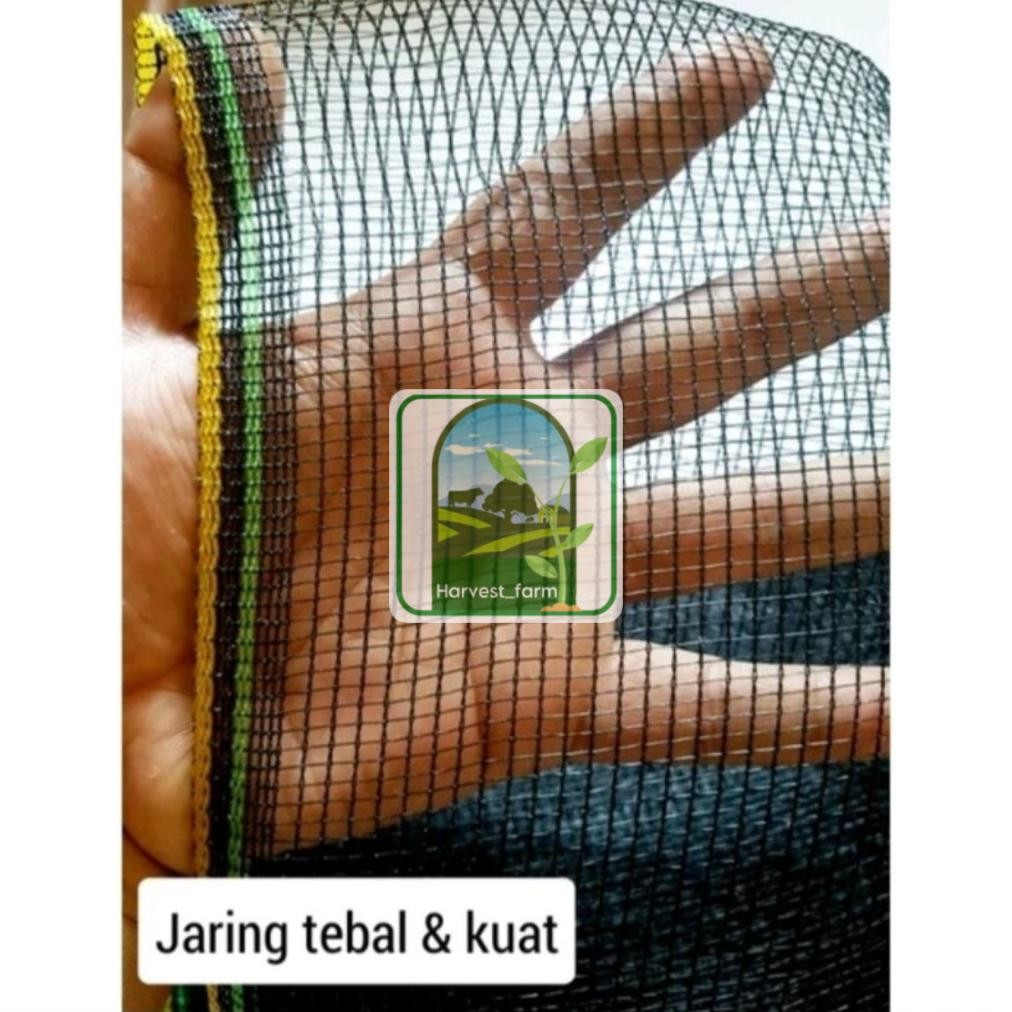 Diskon Flase Jaring Waring 1 Roll 50 Meter - Jaring Ayam - Jaring Ikan - Waring Tl D-54