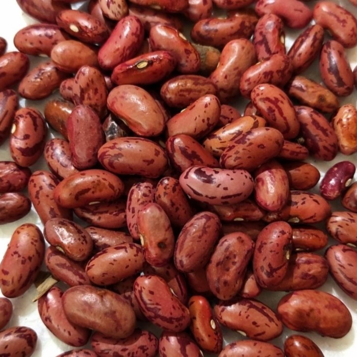 

1 zak kacang merah jogo 25kg