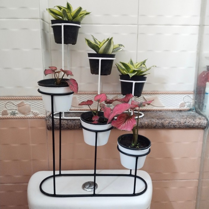 STANDING POT BESI MINIMALIS, RAK POT TANGGA ISI 3, RAK KAKTUS MINI