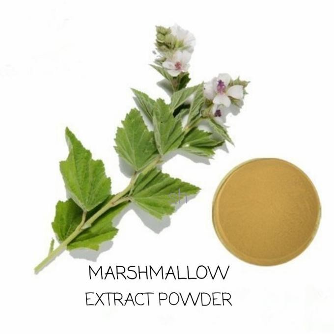 

Marshmallow Extract Powder 20g