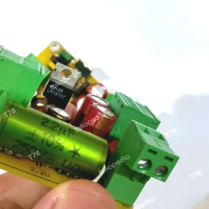 LM1875T Gainclone amplifier