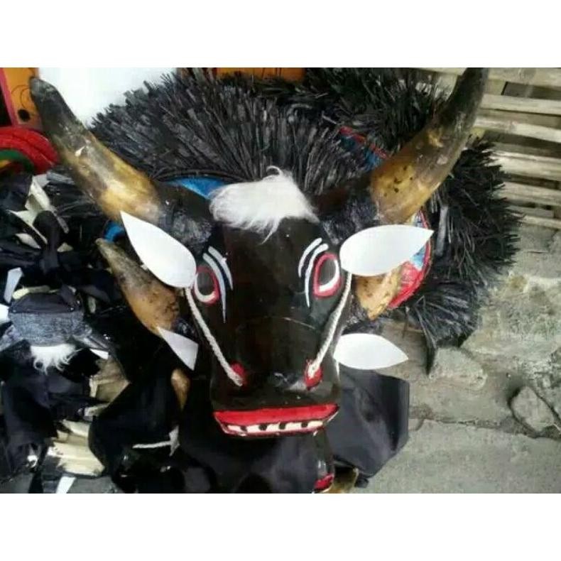 Bantengan Tanduk Asli Jaranan Banteng Jaranan Cod