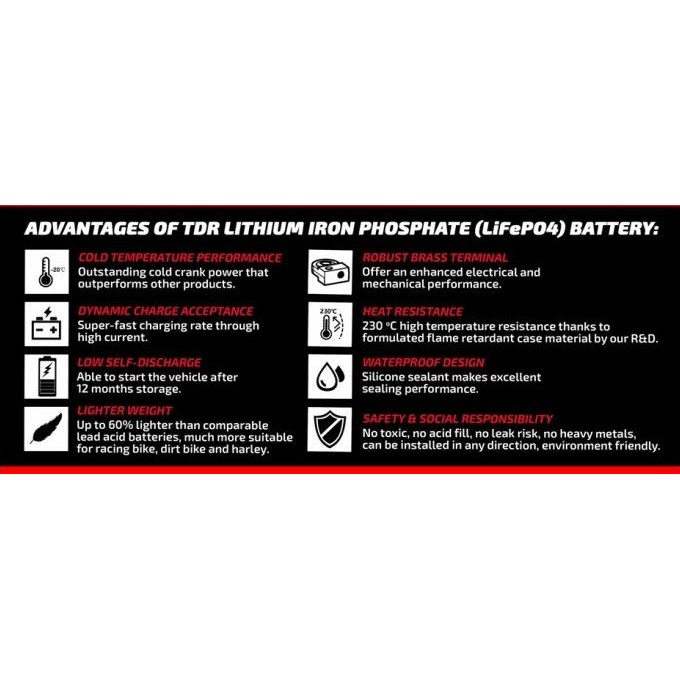 Aki Motor TDR Racing TLFE-4L Lithium AKI Beat-Scoopy-Vario 110-Blade