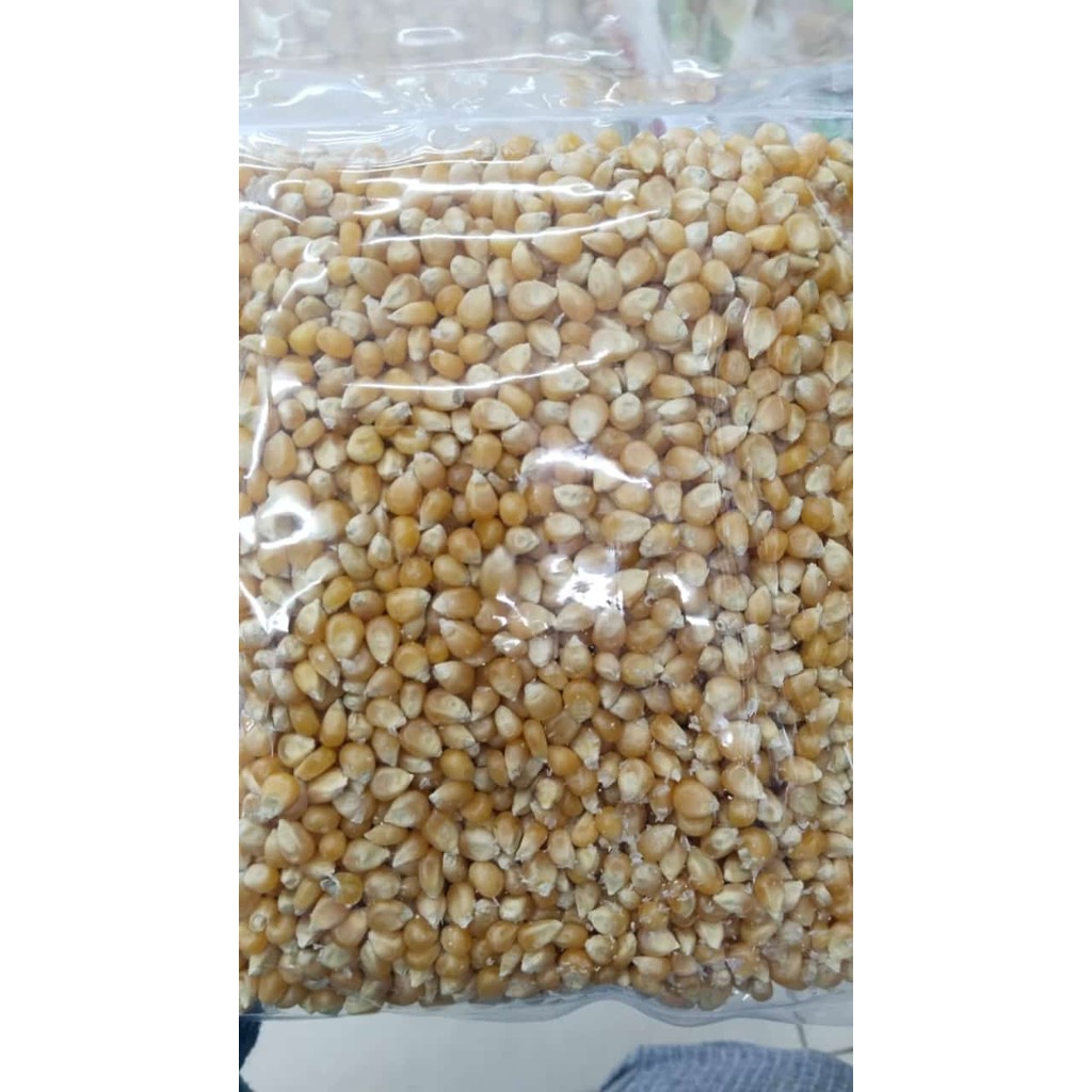 Jagung Popcorn Asli Premium 500gr / Jagung Kering Popcorn / Biji Jagung Mentah Popcorn