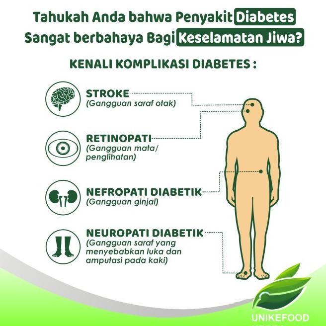

Obat Diabetes Ampuh | Teh Celup Daun Insulin, Obat Gula Darah Tinggi