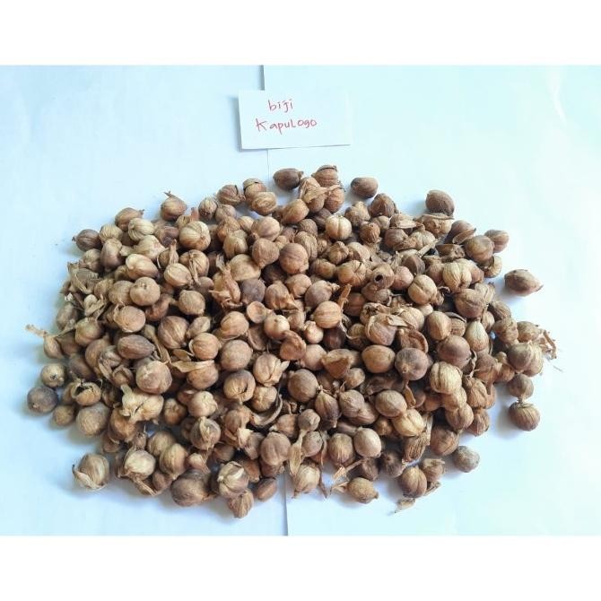 

siap kirim] Biji Kapulaga Kering / Cardamom / Kapol 100 gram