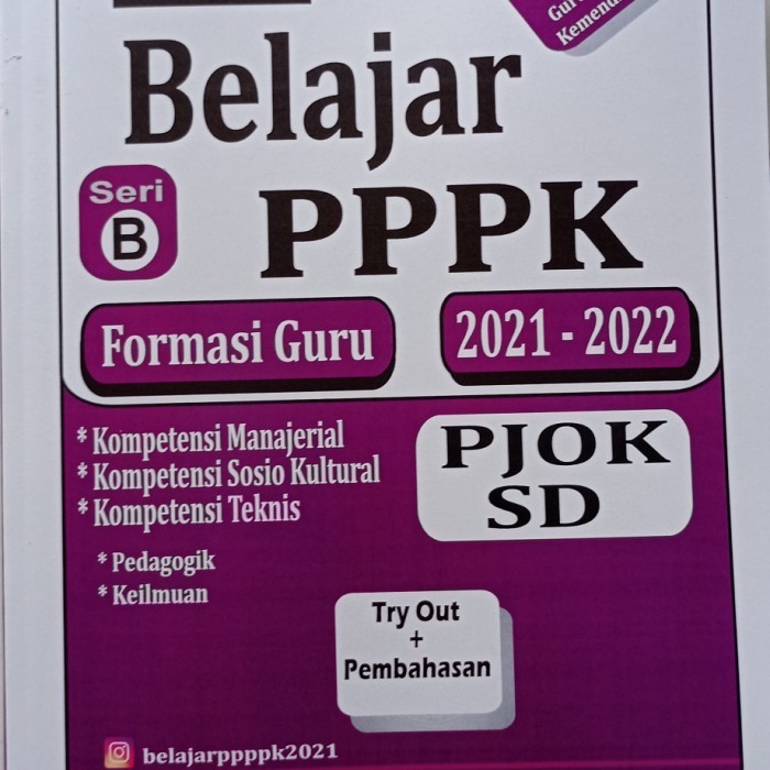 

Modul Buku PPPK PJOK SD