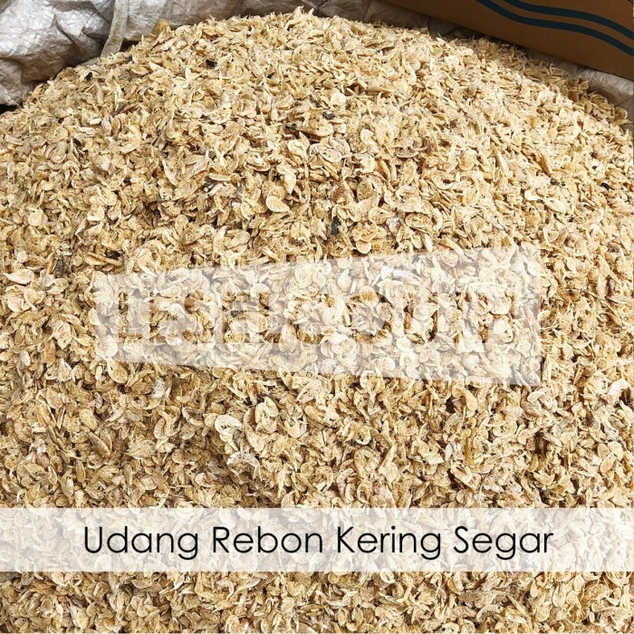 

Terbaru Udang Rebon Kering Segar 500 Gram