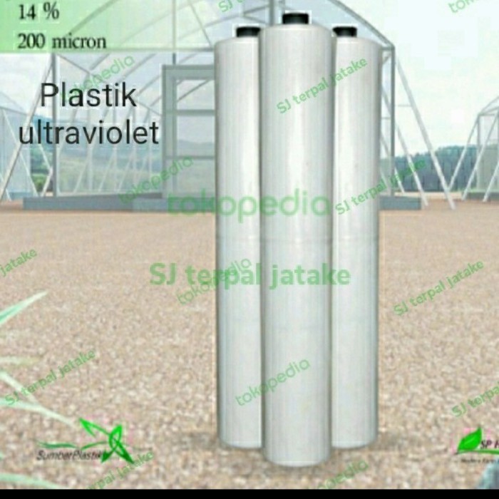 

plastik UV lebar 4 meter x panjang 40 meter 200 micron