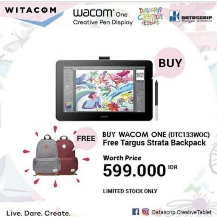 Wacom Cintiq One / Wacom One 13" DTC-133W0C Display Pen Tablet