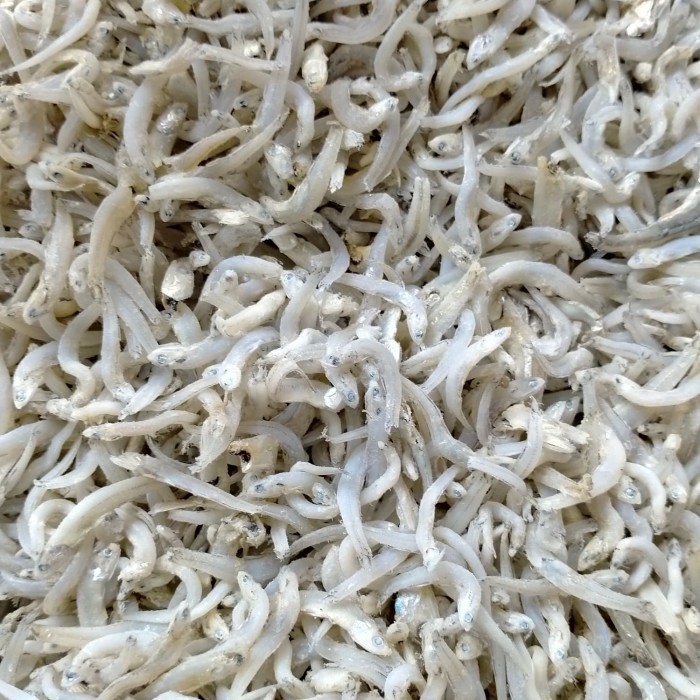 

Ikan Teri Toge Medan 1 Kg