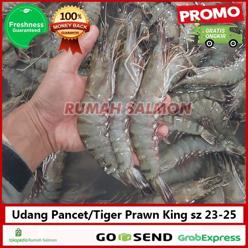 

Udang Windu/ Pancet Size 23-25 Ekor 1 Kg / Black Tiger Fresh / Segar