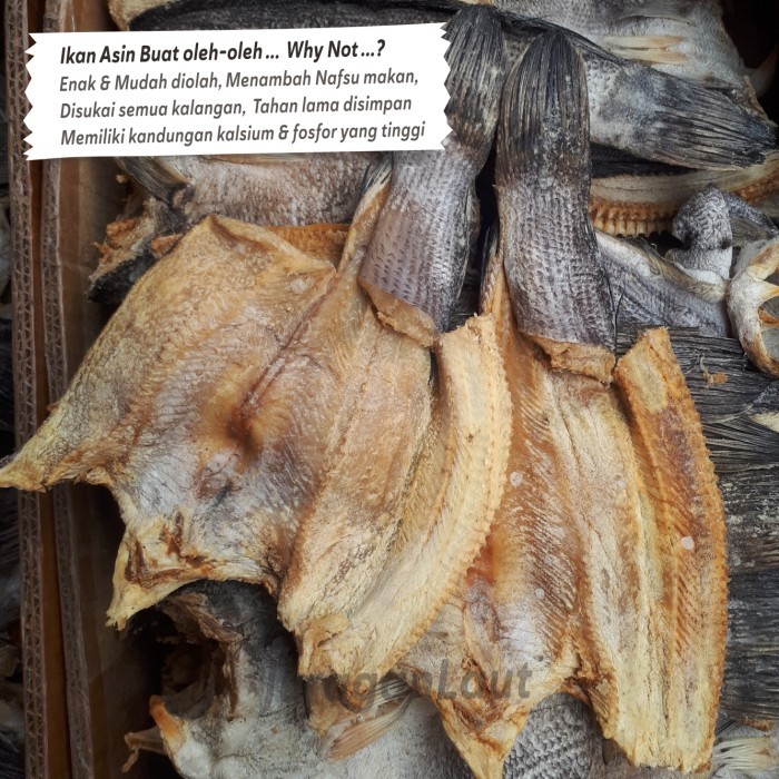 

Ikan Asin Gabus Asin Besar Super 1Kg Kering Istimewa Promo Terbaik