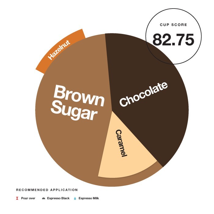 

Arabica Green Beans - China Yunnan Washed Terbaru