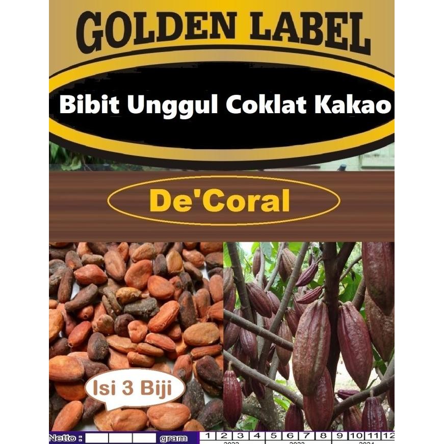 TERBARU BIBIT UNGGUL COKLAT KAKAO|BENIH COKLAT | BIBIT KAKAO|BIBIT BIJI COKLAT 