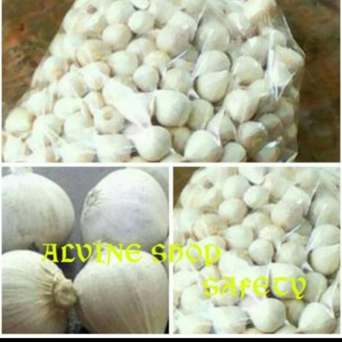 

bawang putih tunggal/bawang lanang