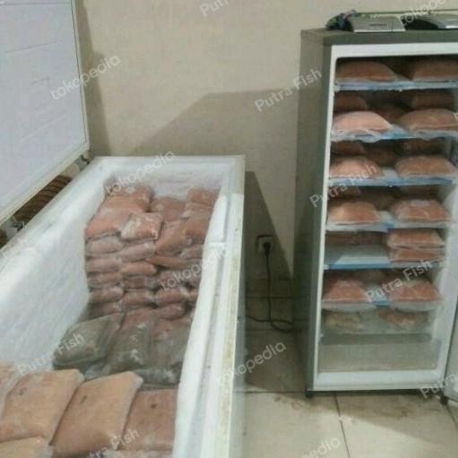 

IKAN TENGGIRI GILING SEGAR