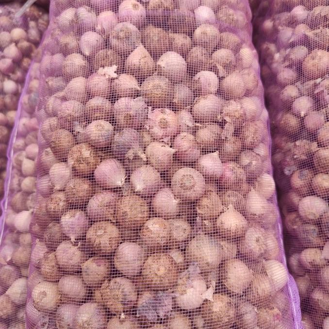 

Bawang Putih tunggal ukuran medium 1kg