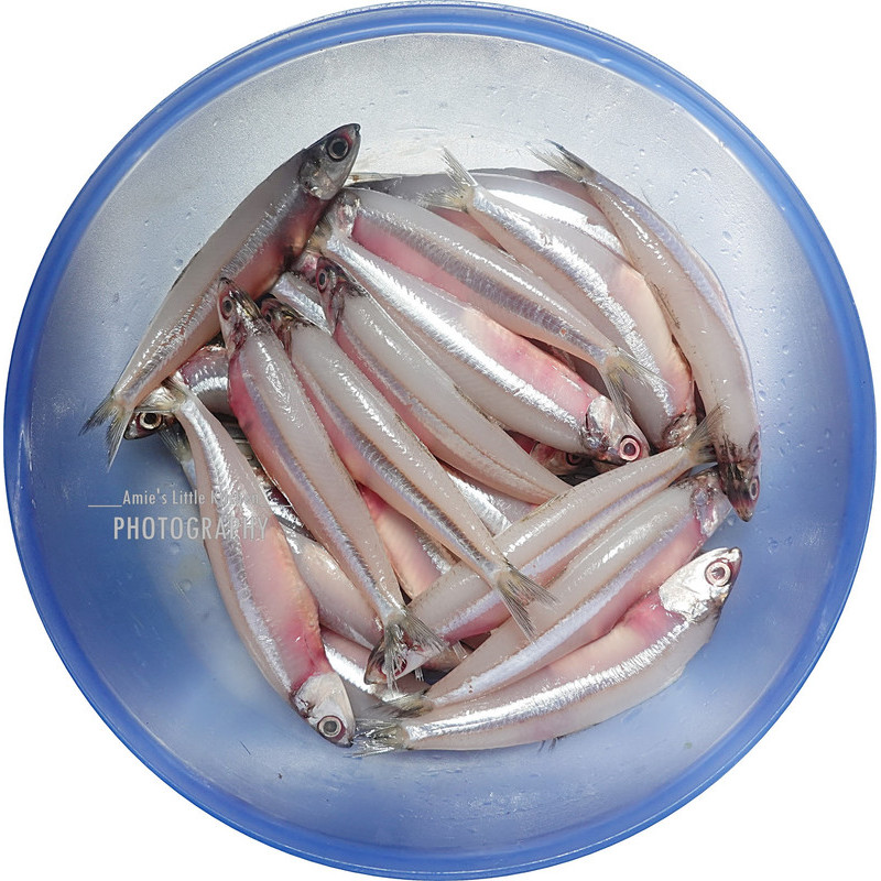 

Ikan bilis basah segar ukuran 500 gram