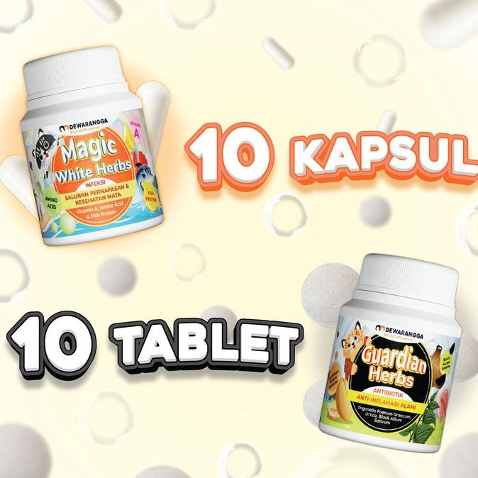 Vitamin Flu Ringan Kucing Dewarangga - Obat Flu Kucing Pilek