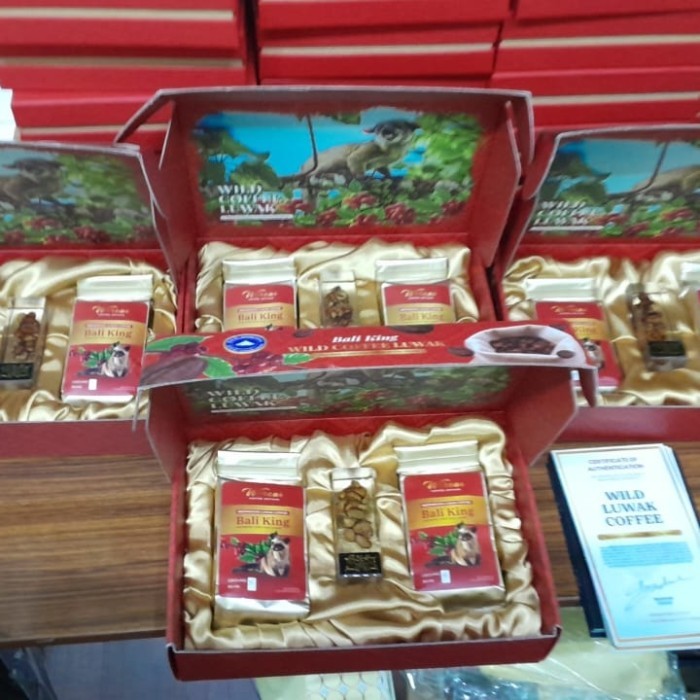 

Kopi Luwak Asli Bali King Isi Dua Box Premium