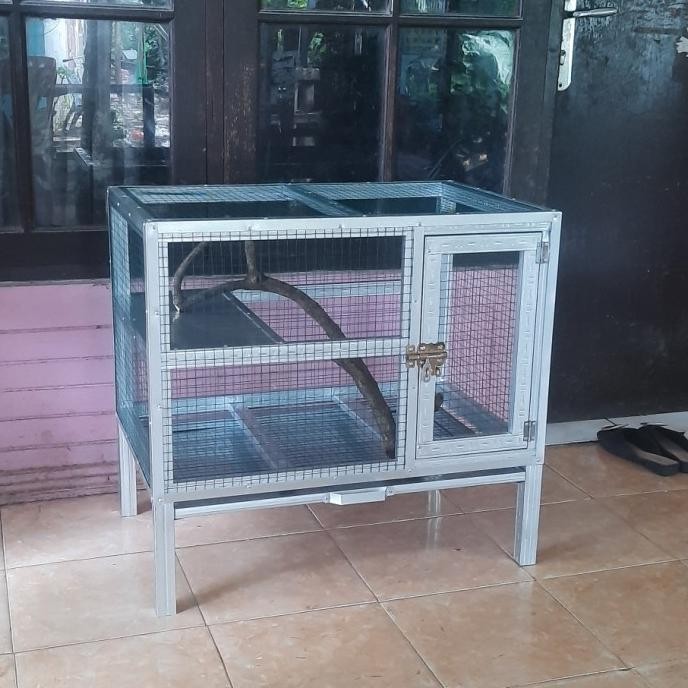 kandang iguana minimalis