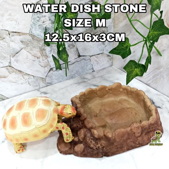 WATER DISH STONE SIZE M TEMPAT MINUM TORTO KADAL SULCATA TEGU GECKO