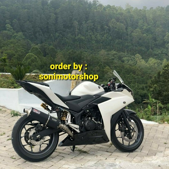 undercowl yamaha r25
