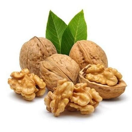 

Walnut 250 Gr ( Kacang Walnut )
