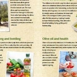 

Bertolli Classico O Oil 250 Ml / Nyak Zaitun Halal