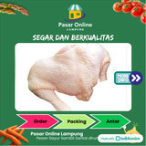 

Ayam Setengah Ekor - PSC. Lampung