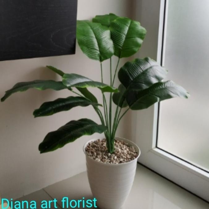 TERLARIS - pohon hias#pohon pisang hias#pisang tiruan/tanaman artificial
